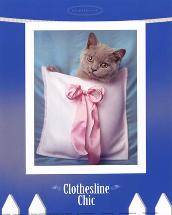 Framed Clothesline Chic Print