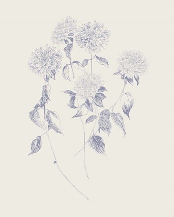 Framed Flowers on White V Blue Print