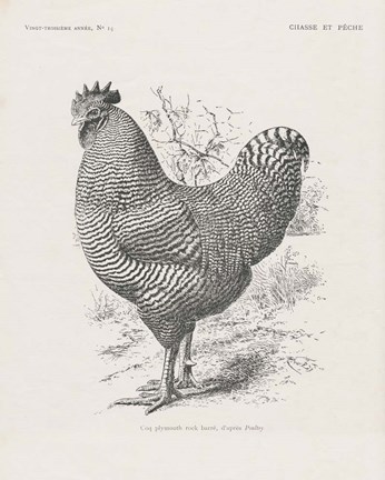 Framed Vintage Farm Life III Print