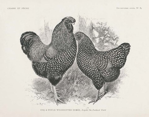 Framed Vintage Farm Life I Print