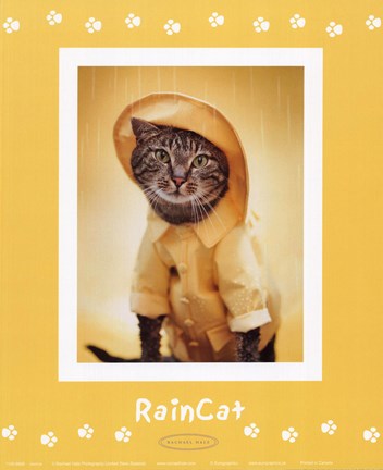 Framed Raincat Print