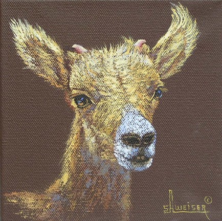 Framed Little Bighorn Print