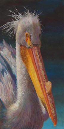 Framed Pelican Print