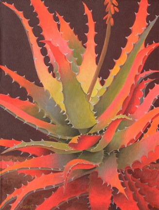 Framed Sunset Agave Print