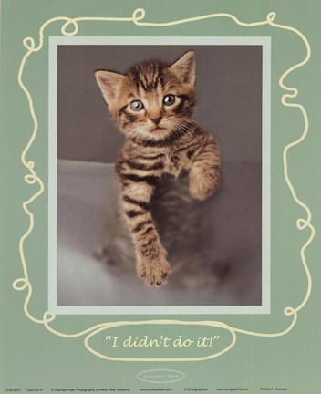 Framed I Didn't Do It Print