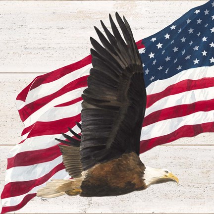 Framed Let Freedom Soar V Print