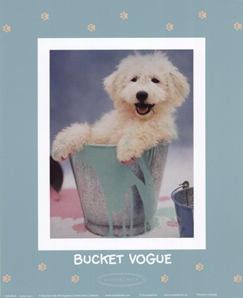 Framed Bucket Vogue Print