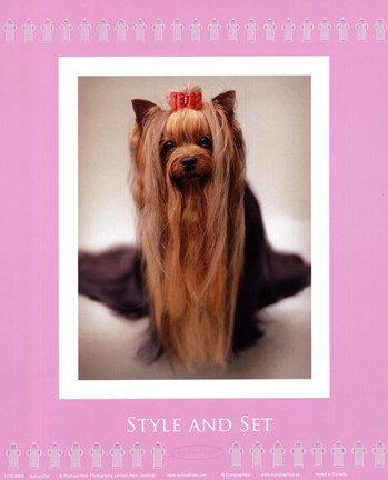 Framed Style And Set Print