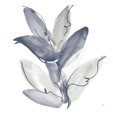 Framed From the Forest II Cool Print