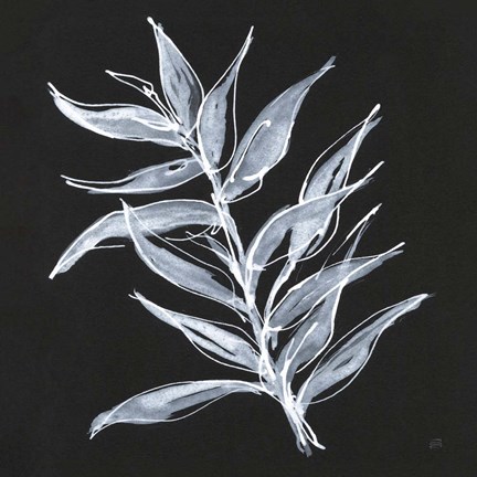 Framed White Fern II Print