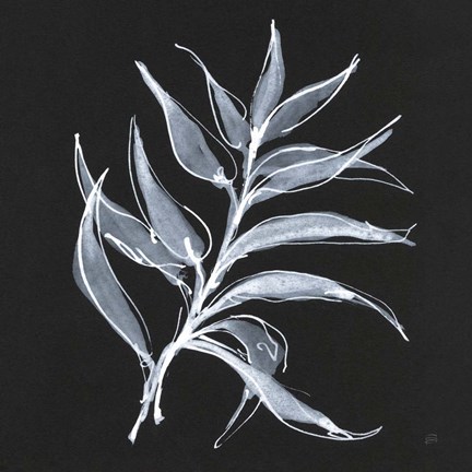 Framed White Fern I Print