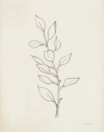 Framed August Branch II Print