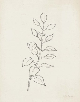 Framed August Branch I Print