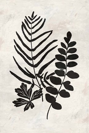 Framed Botanica 1 Print