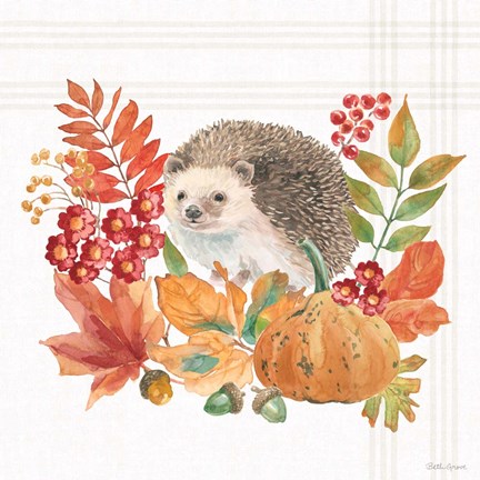 Framed Wooded Harvest V Print