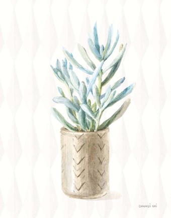 Framed Desert Greenhouse XVII Print