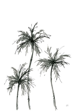 Framed Shadow Palms I Print