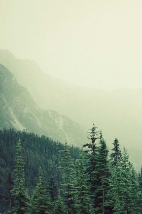 Framed Rocky Mountain 7 Print