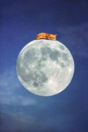 Framed Fox Sleeping on Moon Print
