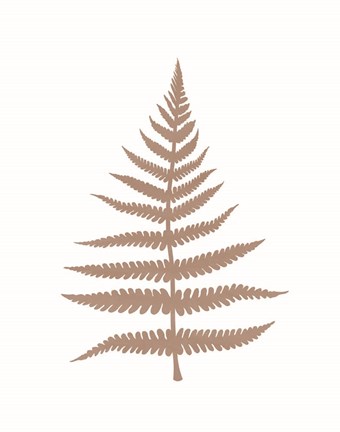 Framed Fern 1 Print