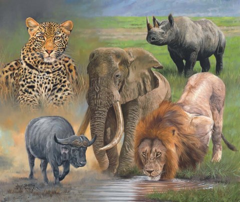 Framed Big Five Print