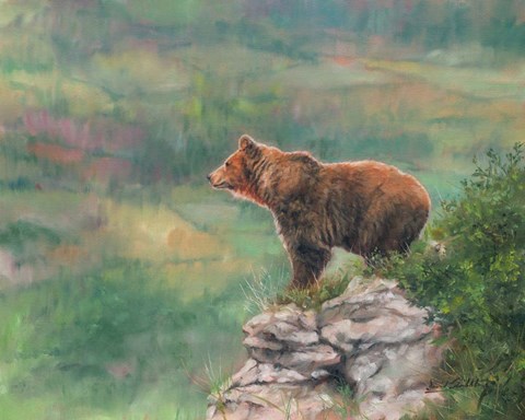 Framed European Brown Bear Print