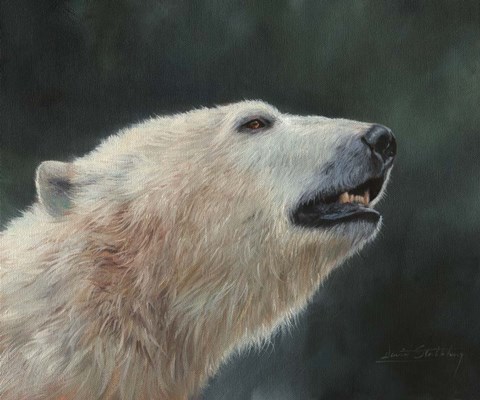 Framed Polar Bear Portrait Print
