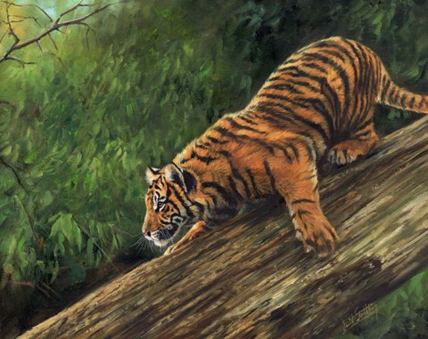 Framed Tiger In Tree Print