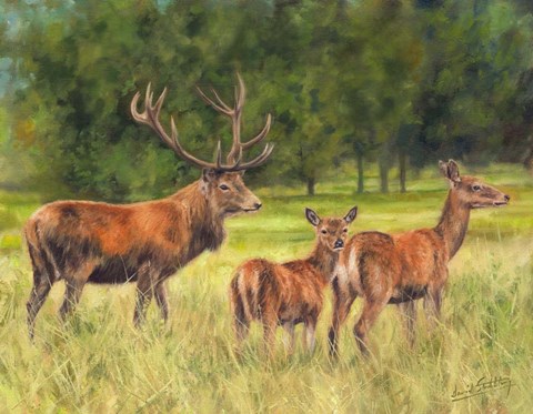 Framed Deer Family Print