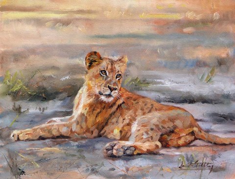 Framed Lion Cub Resting Print
