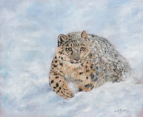 Framed Snow Leopard Final Print