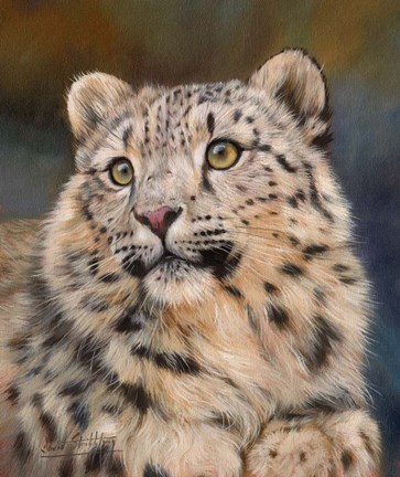 Framed Snow Leopard 6 Print