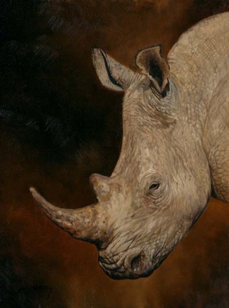 Framed Rhino 2 Print