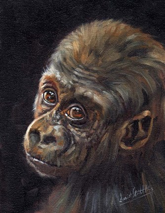 Framed Baby Gorilla Print