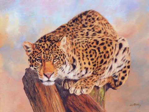 Framed Jaguar On Tree Stump Print