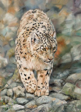 Framed Snow Leopard Stroll Print