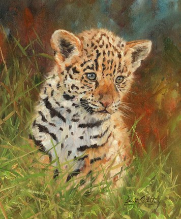 Framed Jaguar Cub Print