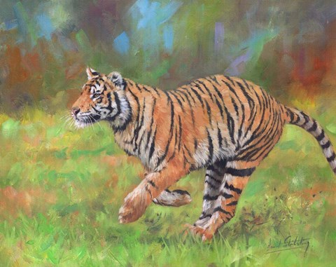 Framed Tiger Running Print
