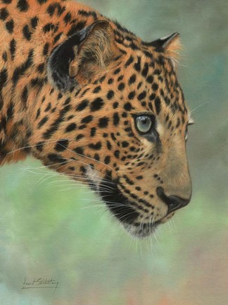 Framed Leopard Profile Print