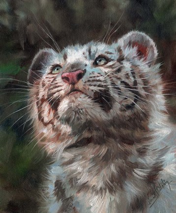 Framed White Tiger Cub Portrait Print