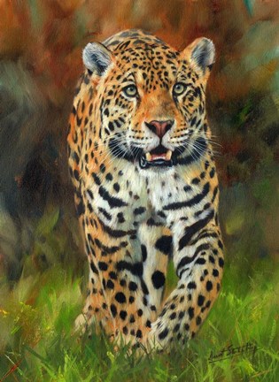 Framed Jaguar Walk Print
