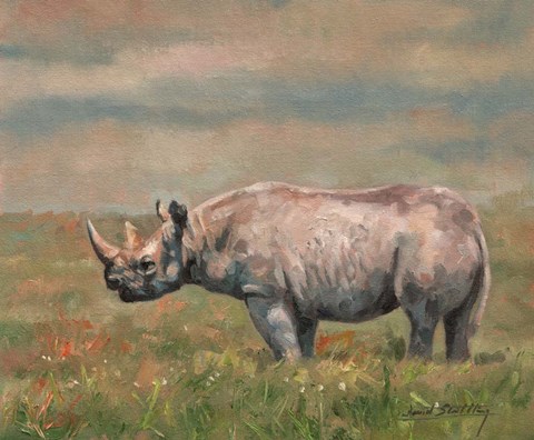 Framed Black Rhino Print