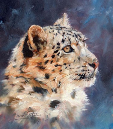 Framed Snow Leopard Portrait 2 Print