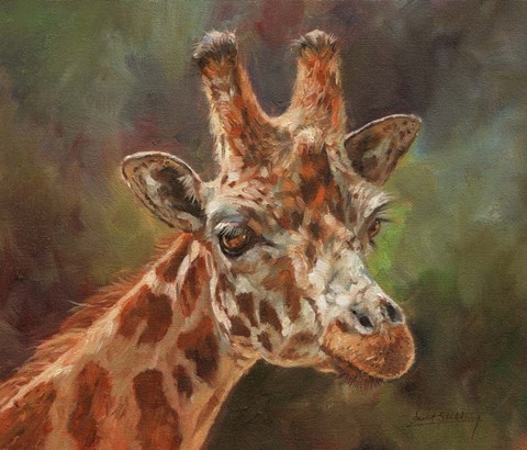 Framed Giraffe Portrait 2 Print