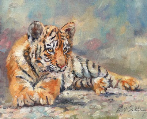 Framed Tiger Cub Lounging Print