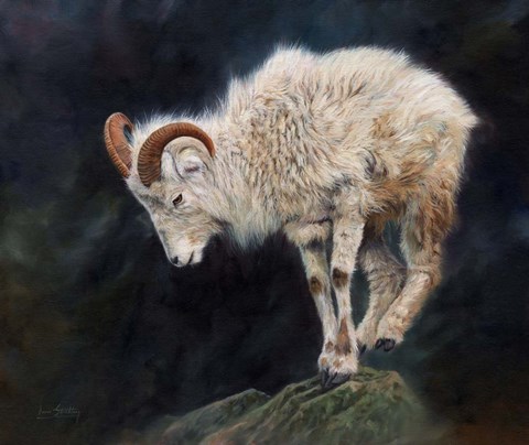 Framed Mountain Goat Print
