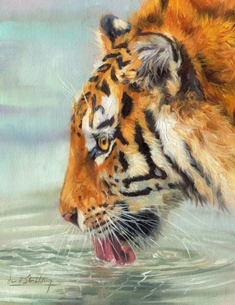 Framed Tiger Drinking Print