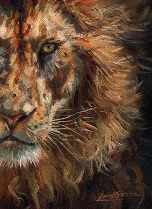 Framed Lion Half Face Print