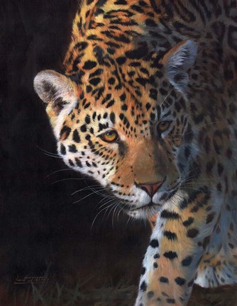 Framed Jaguar Portrait 2 Print