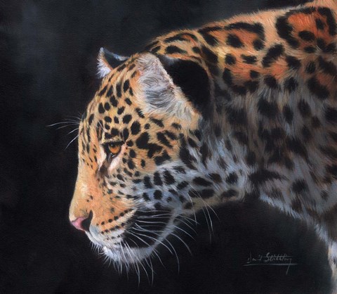 Framed Jaguar Portrait Print